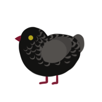 Boom the Boom Mic, a sable and grey chicken with a half-lace pattern