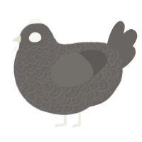 Suitcase, a grey chicken with a double-lace pattern