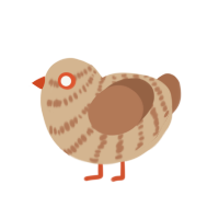 Dune, a beige and brown chicken with a bar pattern