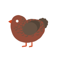 (unnamed), a russet and bark chicken with a half-lace pattern