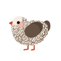 dove, a cream and bark chicken with a double-lace pattern