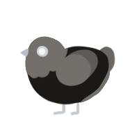 Emo, a sable and grey chicken with a head pattern