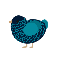 Pacific, a tumblr and sea chicken with a lace pattern