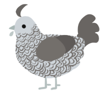 A mist and grey chicken with a double-lace pattern