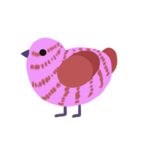 SCRIMP, a lavender and red chicken with a bar pattern