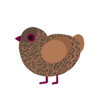 (unnamed), a bark and brown chicken with a double-lace pattern