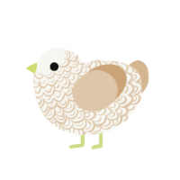 Tiratiramisumisu, a white and beige chicken with a double-lace pattern