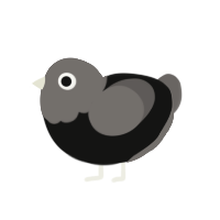 Mourning Dove, a black and grey chicken with a head pattern