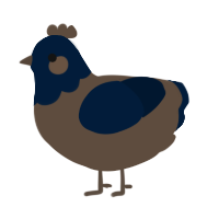 Sonder, a bark and tumblr chicken with a head pattern