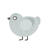 Flurry, a silver chicken with a double-lace pattern