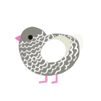 Cutie, a ash and white chicken with a lace pattern