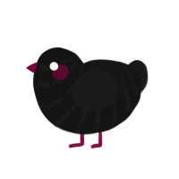 (unnamed), a black and sable chicken with a bar pattern