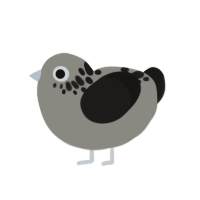 (unnamed), a ash and sable chicken with a neck-speckle pattern