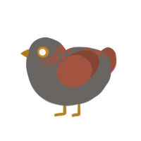 (unnamed), a grey and russet chicken with a neck-speckle pattern