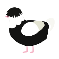 A black and white chicken with a head pattern
