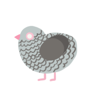 The Pebble, a silver and grey chicken with a lace pattern