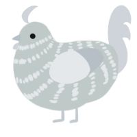 Drop Sheet, a silver and mist chicken with a bar pattern