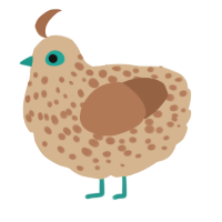 Salmacidus, a beige and brown chicken with a speckle pattern