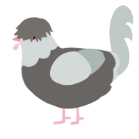 Toaster, a grey and silver chicken with a head pattern