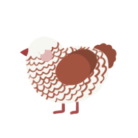 Nut Meg, a white and russet chicken with a lace pattern