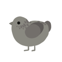 Ash, a ash and grey chicken with a neck-speckle pattern