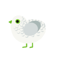 (unnamed), a white and silver chicken with a half-lace pattern