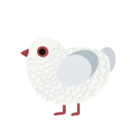 Marshmallow, a white and mist chicken with a lace pattern