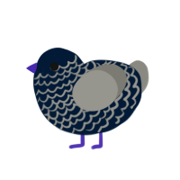 Nudge, a tumblr and ash chicken with a lace pattern