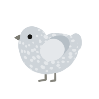 Christmas Child, a mist chicken with a speckle pattern