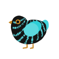 Guy, a black and aqua chicken with a bar pattern