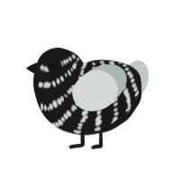 Arbez, a sable and silver chicken with a bar pattern