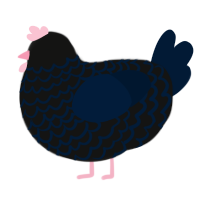 pip, a black and tumblr chicken with a lace pattern