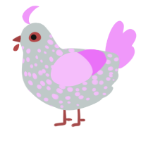 Wildflower, a silver and lavender chicken with a speckle pattern