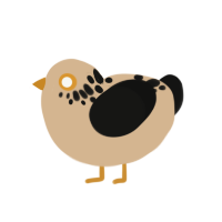 (unnamed), a beige and black chicken with a neck-speckle pattern