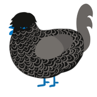 The Grinch, a black and grey chicken with a double-lace pattern