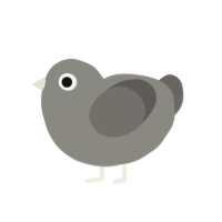 Silver, a ash and grey chicken