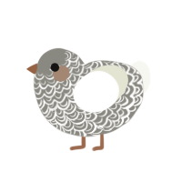 (unnamed), a ash and white chicken with a double-lace pattern