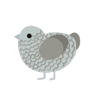 Friend, a silver and ash chicken with a lace pattern