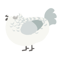 The Witch, a white and silver chicken with a half-lace pattern