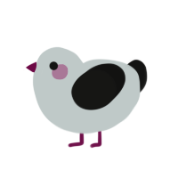 a chicken, a silver and black chicken