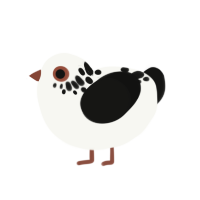 (unnamed), a white and black chicken with a neck-speckle pattern