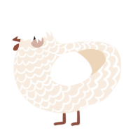 Macadamia, a cream chicken with a lace pattern