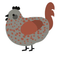 A ash and russet chicken with a speckle pattern