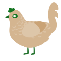 avocado toast, a beige chicken with a half-lace pattern