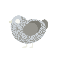 Pewter, a mist and ash chicken with a double-lace pattern