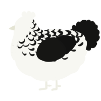 Burnt Marshmallows, a white and black chicken with a half-lace pattern