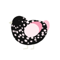 (unnamed), a black and rose chicken with a speckle pattern