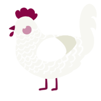 StrwBrry Crem Cak, a white chicken with a lace pattern