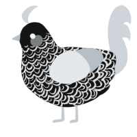 Stormbringer, a black and mist chicken with a double-lace pattern