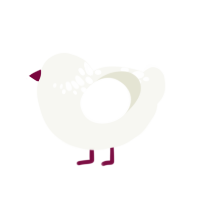 thetis, a white chicken with a neck-speckle pattern